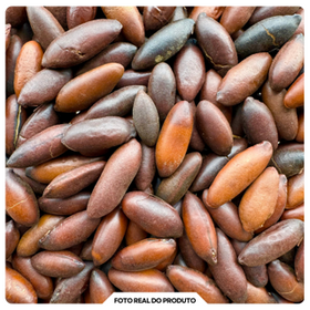 Castanha de Baru (torrada, sem sal)